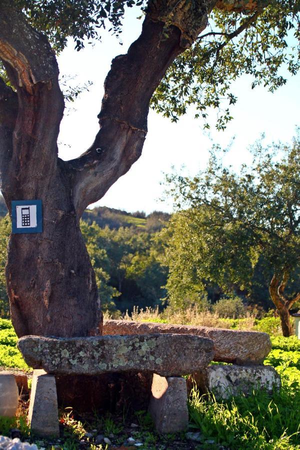 Quinta Da Utopia Castelo de Vide Exterior photo